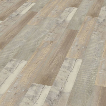 Ter Hürne Pinie Maike